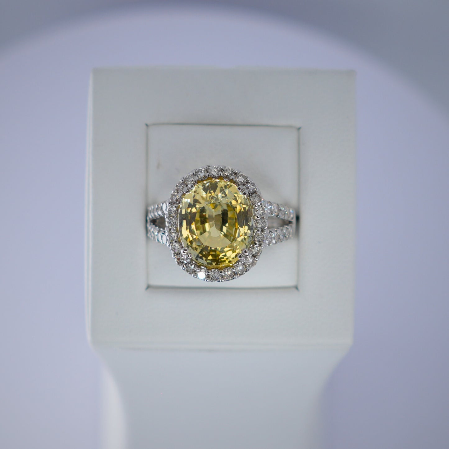 14K White Gold 10ct Oval Yellow Sapphire Dress Ring