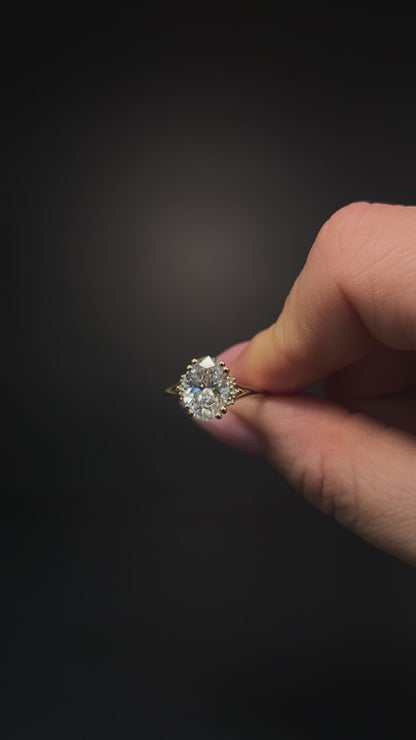 The Oval Heart Shank